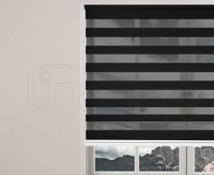 Zebra Stor Siyah